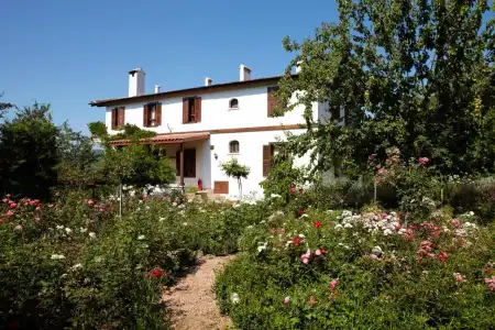 Güllü Konakları - 22