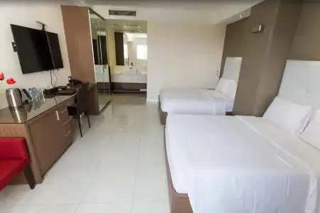 The Luxe - 48
