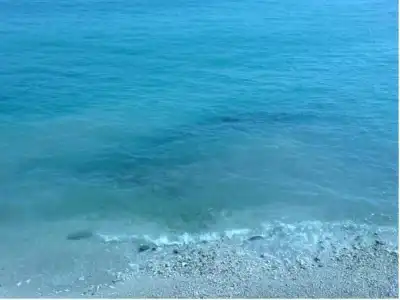 Royal Saranda - 16