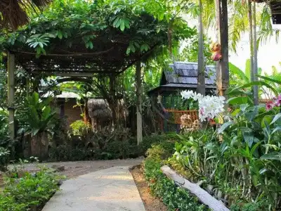 Orchid Hibiscus Guest House - 10