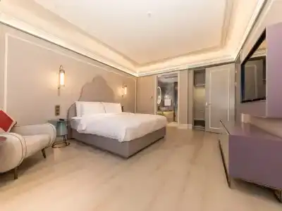 Mercure XI'an Great Tang Mall of
Dayan Pagoda - 89