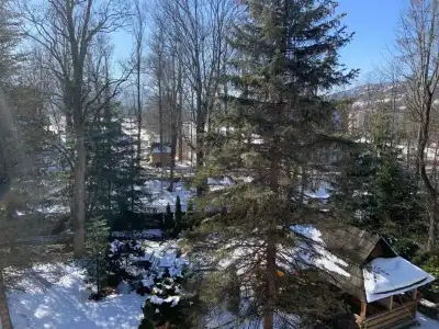 Osrodek Wypoczynkowy Jaskolka - 22