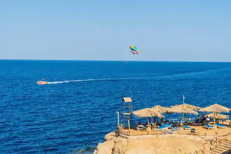 Sharm Reef - 21