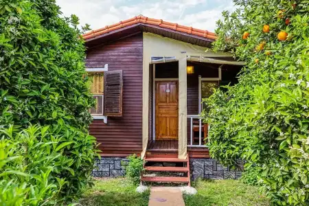 Sunrise Bungalows - 55