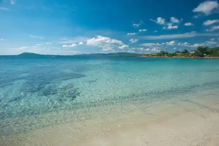 The Pelican Beach Resort & SPA - Adults Only - 13