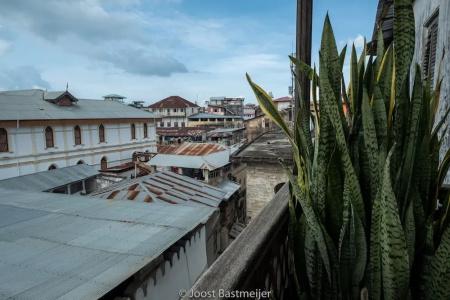 Zanzibar Palace - 158