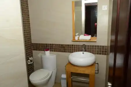 Villa Narmada - 53