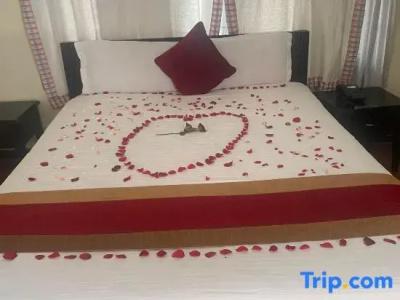 Thamel Eco Resort - 100