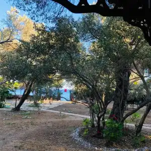 Datca Masal Gibi - 10