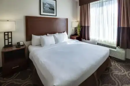 Ashmore Inn and Suites - 33