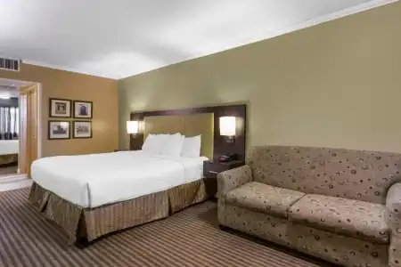 Royal Sun & Suites - 60