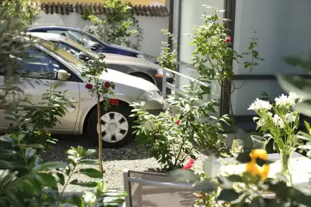 Constantia - 6