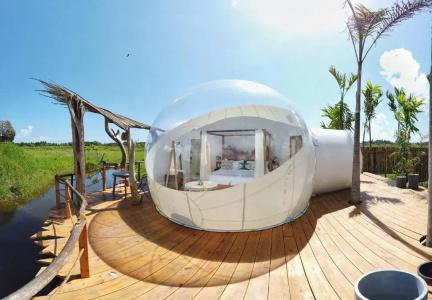 Green Land Bubble Glamping - 42