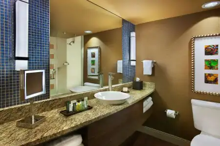 Hilton Palacio Del Rio - 58