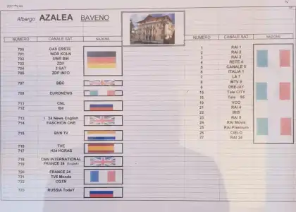 Azalea - 21