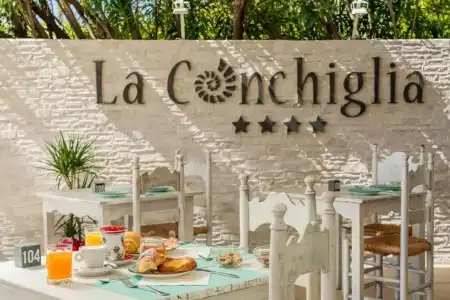 Ristorante La Conchiglia - 12