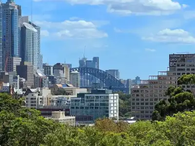 Sydney Wattle - 41