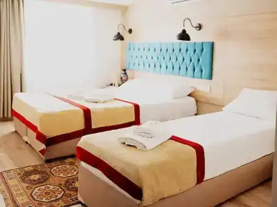 The Laila - 31