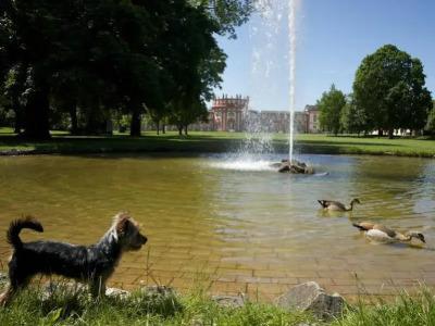 am Schlosspark , Wiesbaden - 12