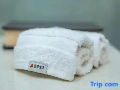 Atour (Nanjing Xuanwumen) - 54