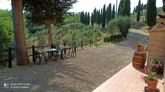 Rocca degli Olivi - 75