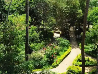 Siddhalepa Ayurveda Resort - All Meals, Ayurveda Treatment, Yoga Resort - 46