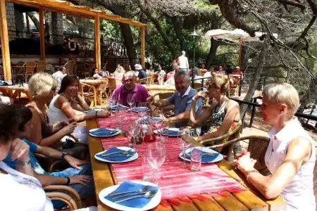 Corpus B - Albatros - 7