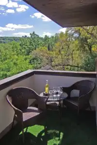 Park-Golosievo - 24