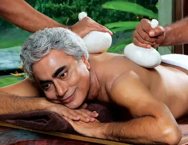 Vedic Village Spa Resort - 24