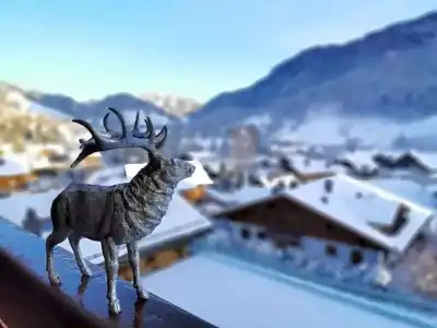Hôtel de Rougemont & Spa - 42