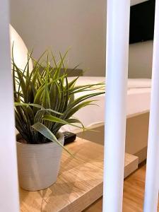 Holi City Apart Berlin - 131