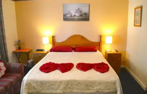 Palms Bed & Breakfast - 17