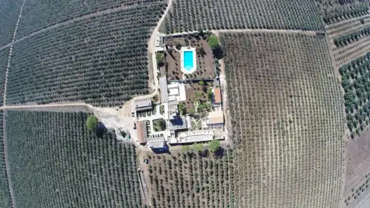 Agriturismo Tenuta Mazzetta - 32