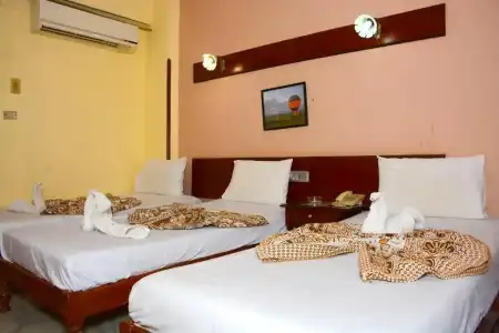 shady - 51