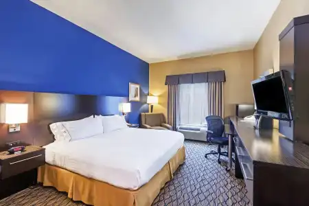 Best Western Premier Houston Downtown/Convention Center - 25