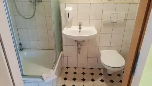Pension Hubertushof Freiberg - 18