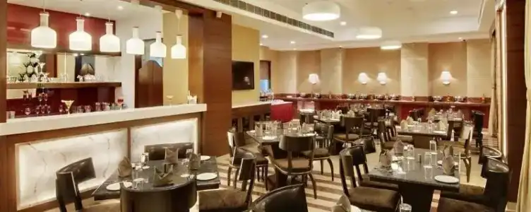 The Golden Palms & Spa Delhi - 18