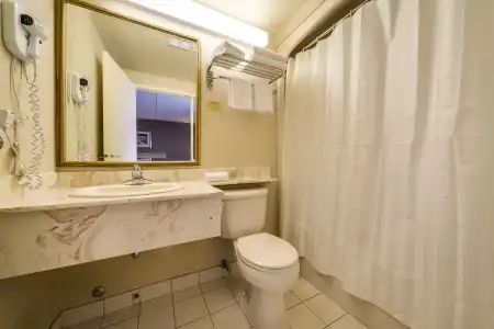 Monte Carlo Inn Toronto - Markham - 7