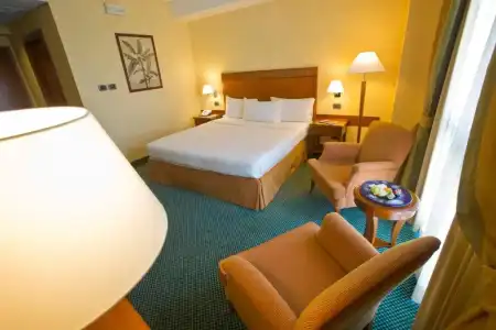 Mercure Rome Leonardo da Vinci Airport - 38