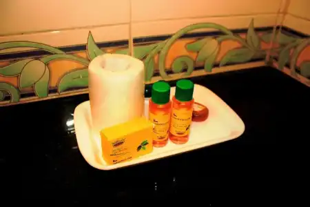 FabPrime Sapphire Inn - 25