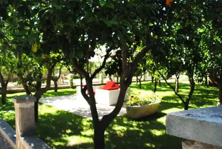 Palazzo Guglielmo Albergo Diffuso - 19