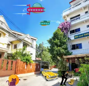 Bed and Terrace Guesthouse - 0
