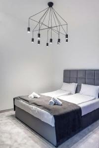 Boutique Kings Palace - 43