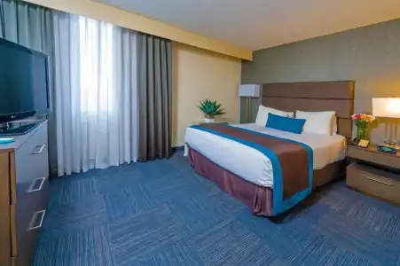 Best Western Plus Toronto Airport - 74