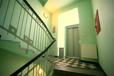 Leon - 8