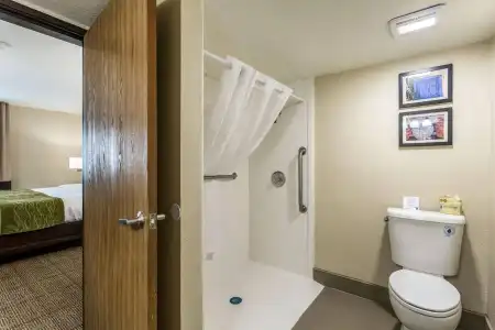 Comfort Inn & Suites Albuquerque Downtown - 9