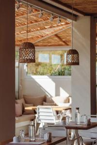 Ampelia Kassandra - 6