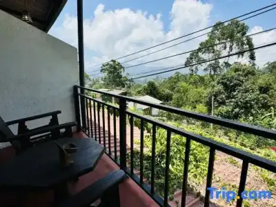 Nature Life Guest Inn - 63