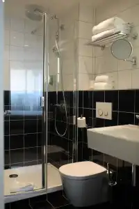 Hôtel Albert 1er - 43