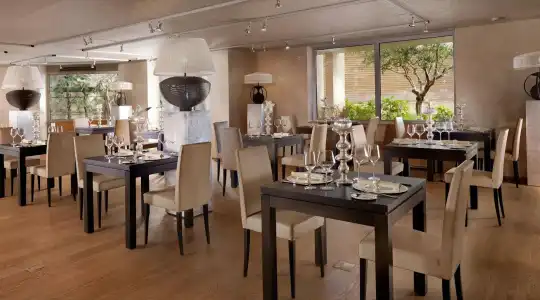Divani Escape- Adults only - 24